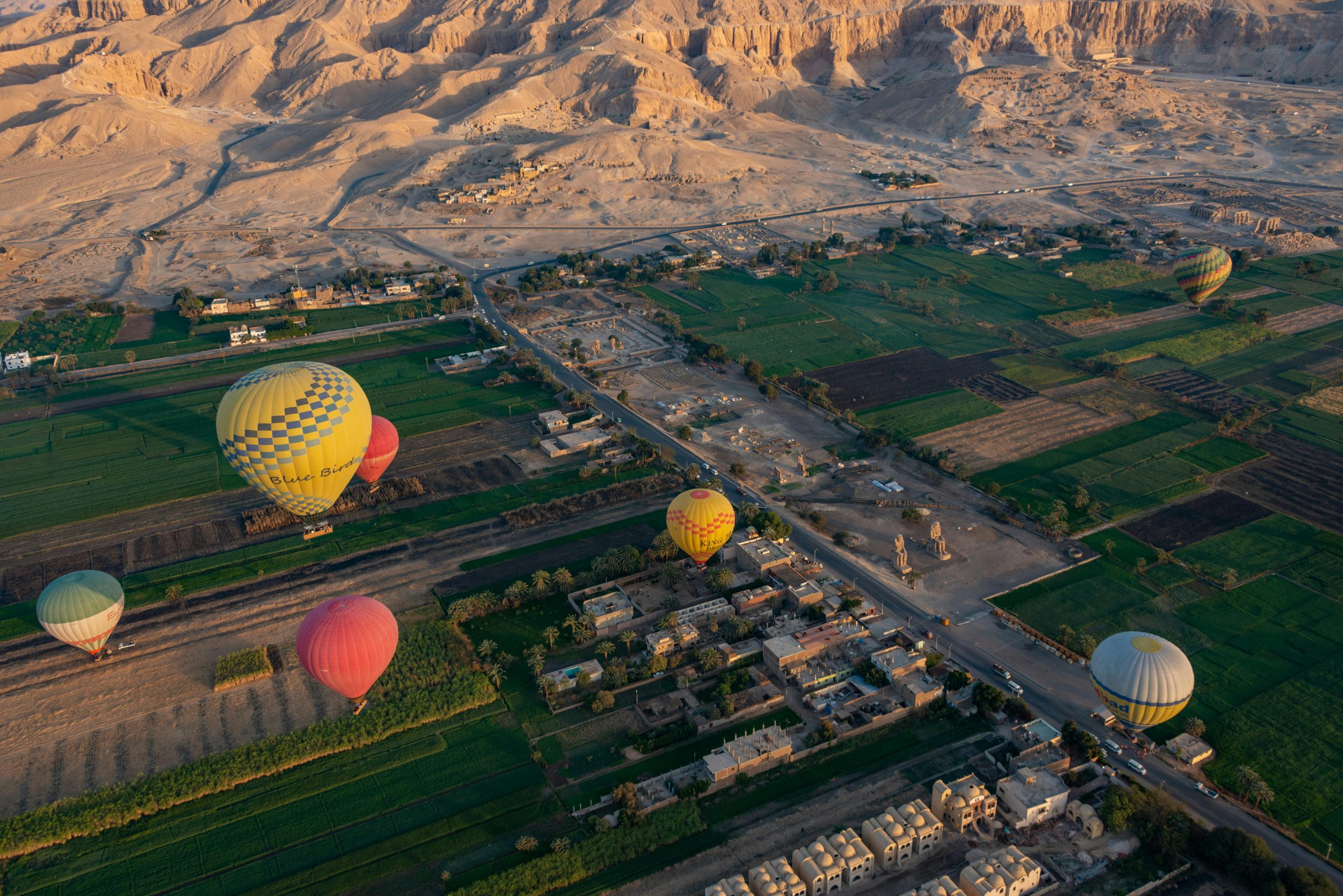 pexels-diego-f-parra-33199-15188107